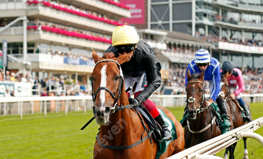 Stradivarius-0001 
 STRADIVARIUS (Frankie Dettori) wins The Weatherby's Hamilton Lonsdale Cup
York 20 Aug 2021 -- Pic Steven Cargill / Racingfotos.com