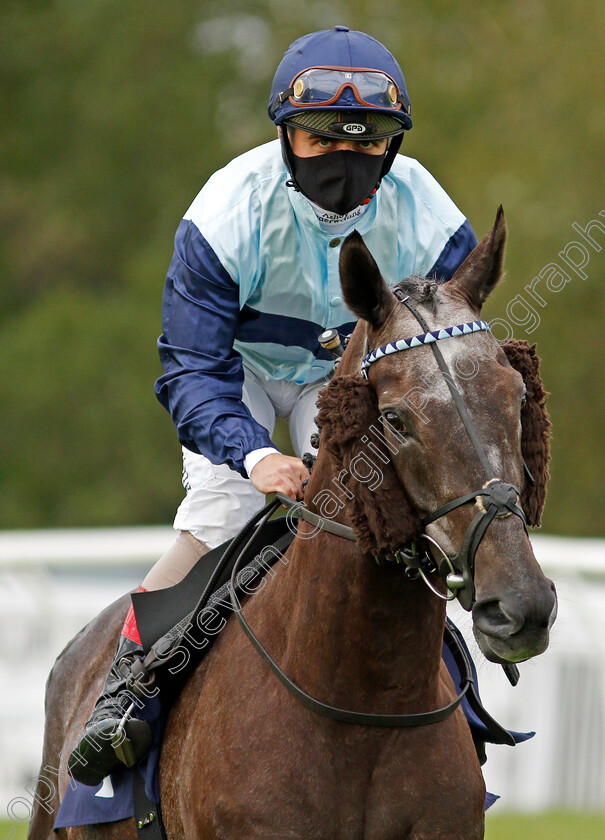 Prefontaine-0002 
 PREFONTAINE (Andrea Atzeni)
Lingfield 26 Aug 2020 - Pic Steven Cargill / Racingfotos.com