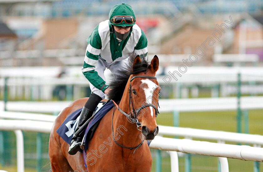 Dubai-Emperor-0001 
 DUBAI EMPEROR (Louis Steward)
Doncaster 28 Mar 2021 - Pic Steven Cargill / Racingfotos.com