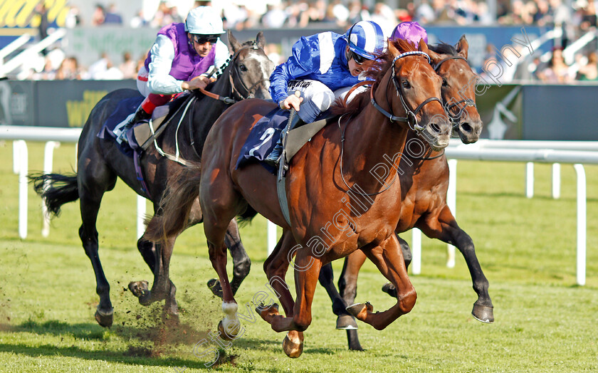 Molatham-0004 
 MOLATHAM (Jim Crowley) wins The Weatherbys Global Stallions App Flying Scotsman Stakes
Doncaster 13 Sep 2019 - Pic Steven Cargill / Racingfotos.com