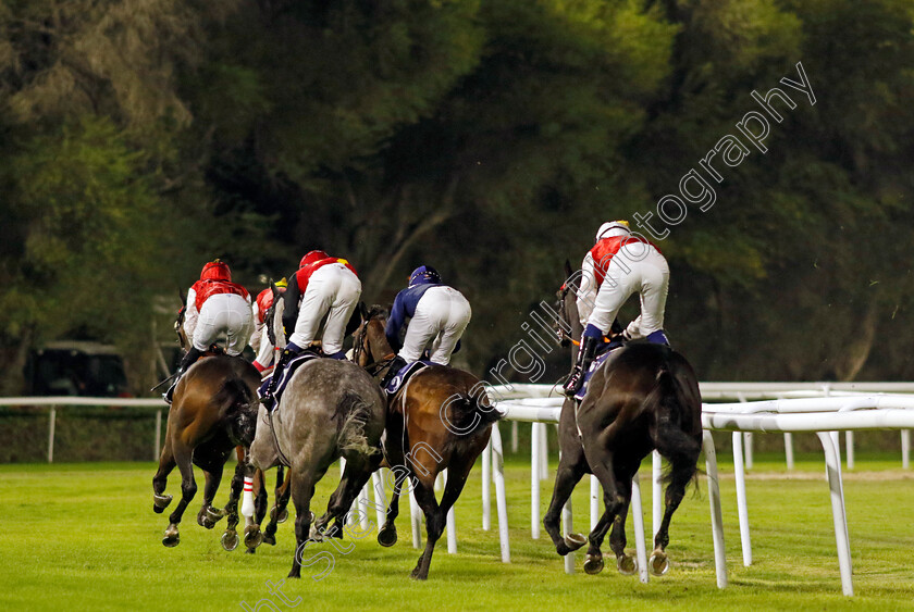 Bahrain-0007 
 racing in Bahrain
Kingdom of Bahrain 15 Nov 2024 - Pic Steven Cargill / Racingfotos.com