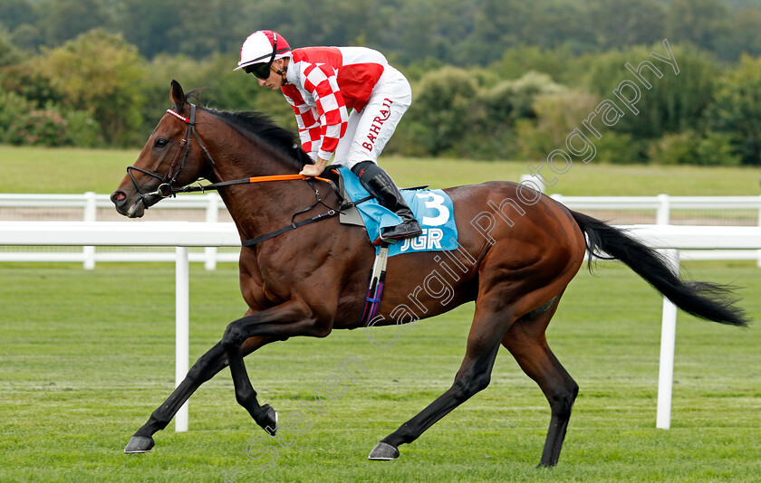 Chasing-Aphrodite-0001 
 CHASING APHRODITE (Tom Marquand)
Ascot 26 Jul 2024 - Pic Steven Cargill / Racingfotos.com