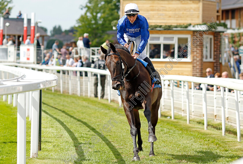 Art-Du-Val-0002 
 ART DU VAL (Daniel Tudhope)
York 10 Jun 2022 - Pic Steven Cargill / Racingfotos.com