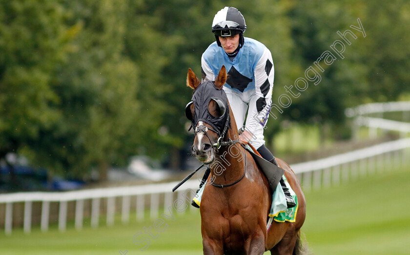 Travolta-0002 
 TRAVOLTA (Daniel Muscutt)
Newmarket 12 Jul 2024 - Pic Steven Cargill / Racingfotos.com