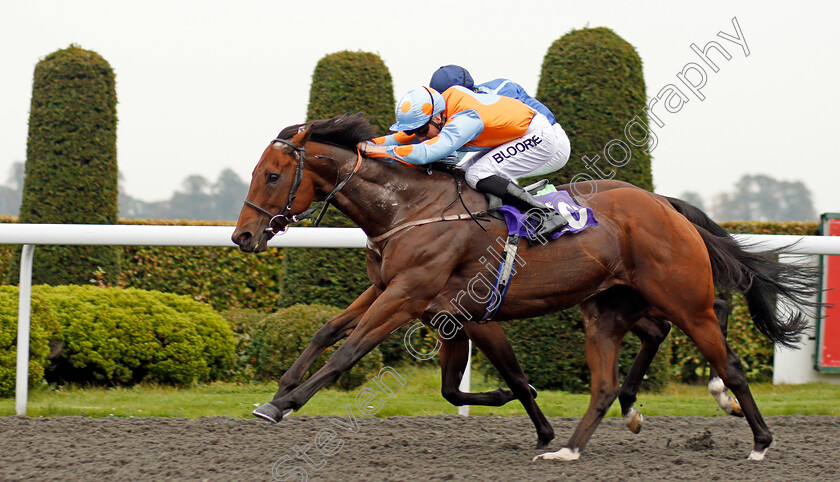 Jaywalker-0003 
 JAYWALKER (Martin Harley) wins The Matchbook Casino Handicap Kempton 25 Sep 2017 - Pic Steven Cargill / Racingfotos.com