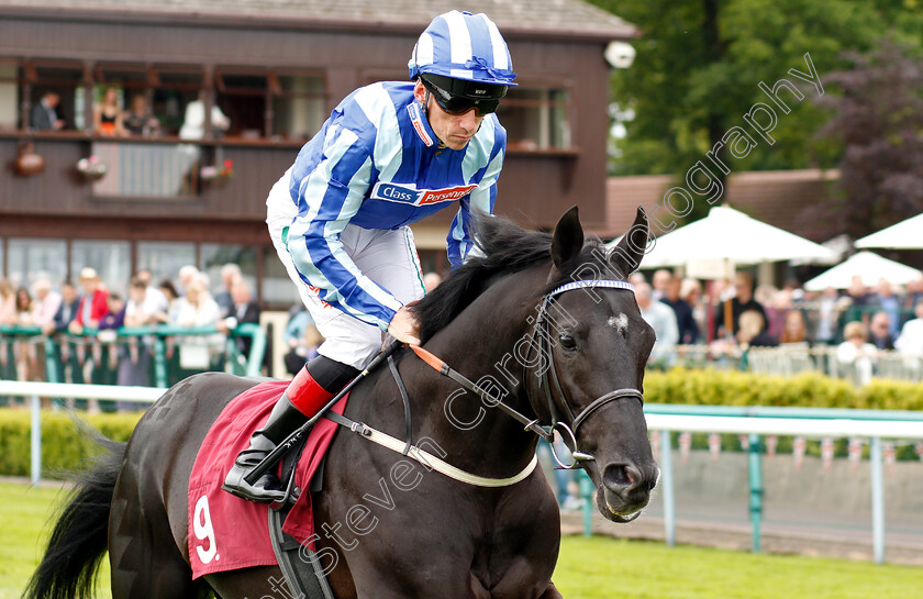 Pirate-King-0001 
 PIRATE KING (Shane Kelly)
Haydock 25 May 2019 - Pic Steven Cargill / Racingfotos.com