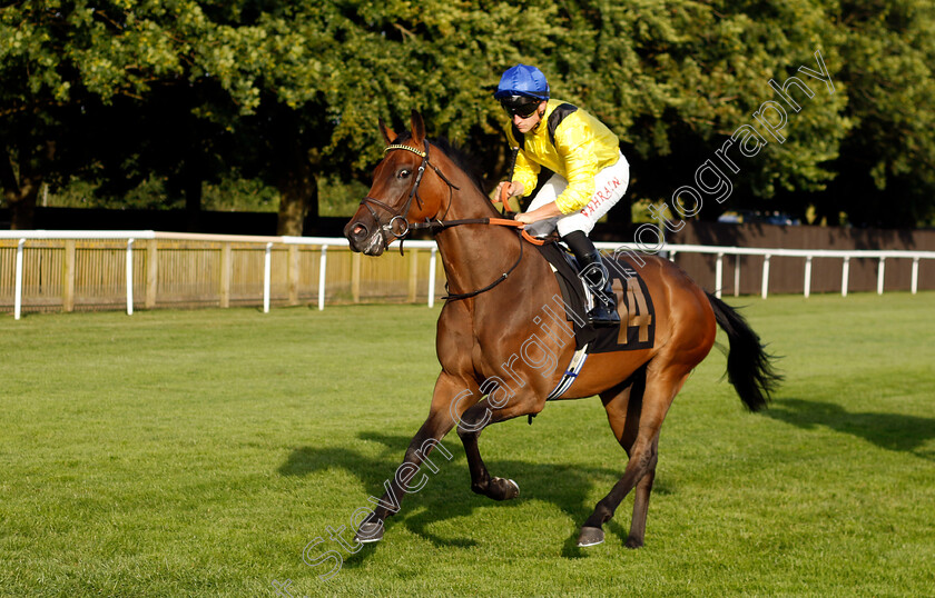 Wiesaam-0001 
 WIESAAM (Tom Marquand)
Newmarket 9 Aug 2024 - Pic Steven Cargill / Racingfotos.com