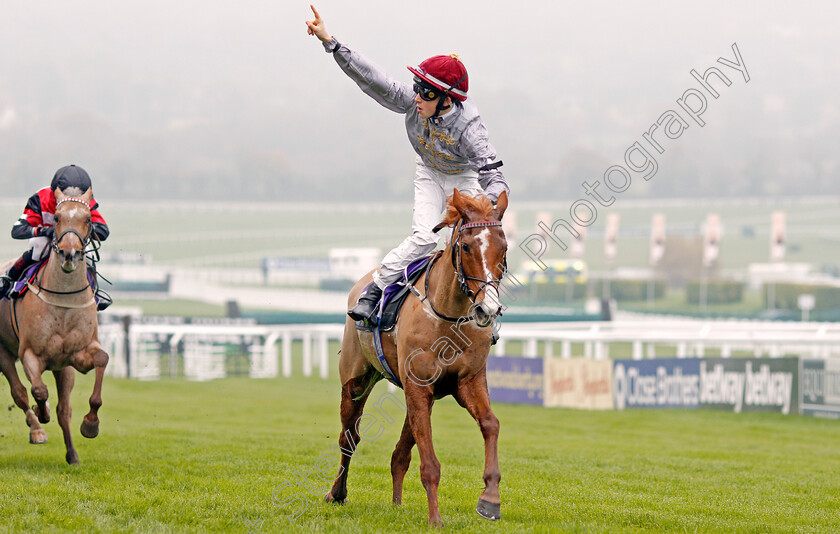 Little-Anne-0003 
 LITTLE ANNE (Harry Davies) wins The Charles Owen Pony Race 138cm & under
Cheltenham 17 Nov 2019 - Pic Steven Cargill / Racingfotos.com