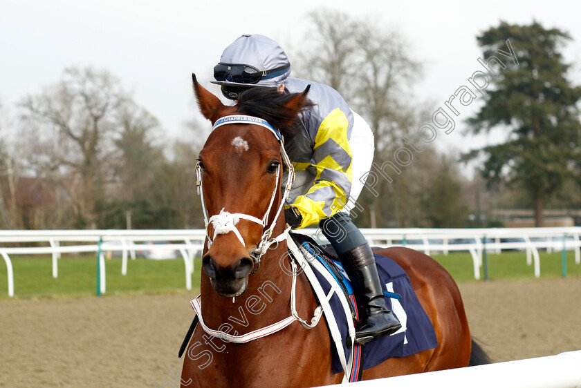 Habrdi-0001 
 HABRDI (Laura Pearson)
Lingfield 7 Mar 2024 - Pic Steven Cargill / Racingfotos.com