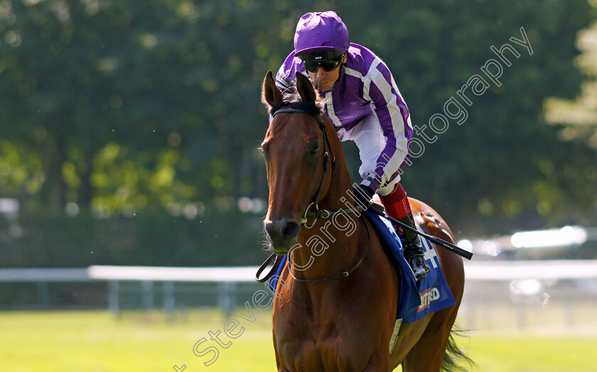 Little-Big-Bear-0016 
 LITTLE BIG BEAR (Frankie Dettori) winner of The Betfred Nifty Fifty Sandy Lane Stakes
Haydock 27 May 2023 - Pic Steven Cargill / Racingfotos.com