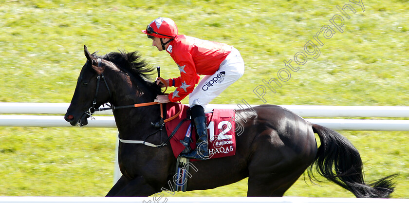 Suedois-0001 
 SUEDOIS (Daniel Tudhope) Newbury 19 May 2018 
Pic Steven Cargill / Racingfotos.com