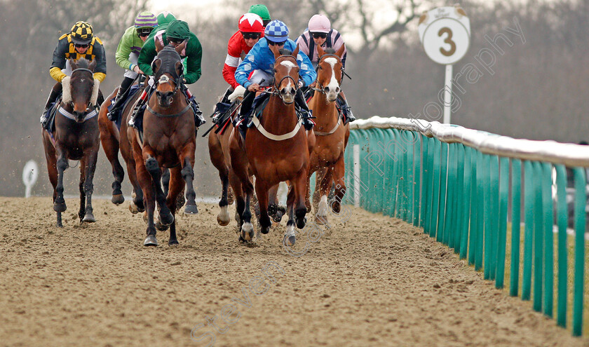 Lingfield-0001 
 WILD FLOWER (blue, Thore Hansen) leads the field down the hill during The Betway Handicap Lingfield 23 Feb 2018 - Pic Steven Cargill / Racingfotos.com