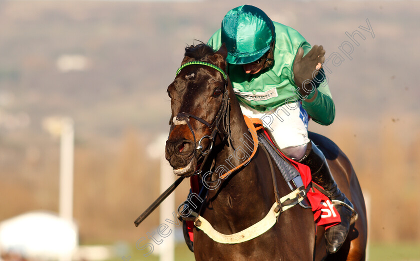 Sceau-Royal-0007 
 SCEAU ROYAL (Daryl Jacob) wins The Shloer Chase
Cheltenham 18 Nov 2018 - Pic Steven Cargill / Racingfotos.com