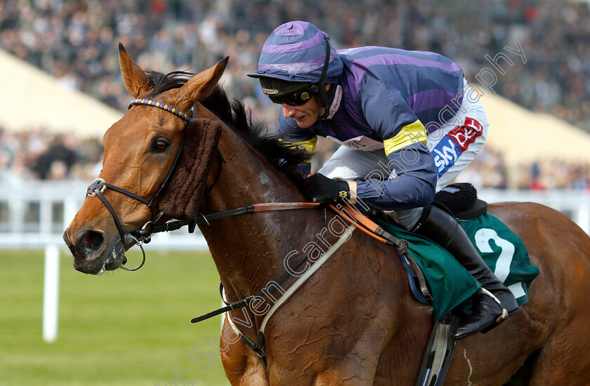 Bob-Mahler-0005 
 BOB MAHLER (Daryl Jacob) wins The Arkells Brewery Nicholson Holman Novices Limited Handicap Chase
Cheltenham 17 Apr 2019 - Pic Steven Cargill / Racingfotos.com