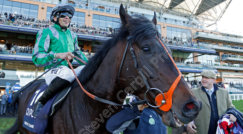 King-Of-Change-0011 
 KING OF CHANGE (Sean Levey) after The Queen Elizabeth II Stakes
Ascot 19 Oct 2019 - Pic Steven Cargill / Racingfotos.com