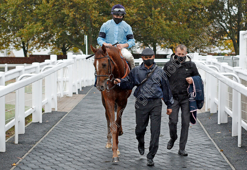 Parachute-0003 
 PARACHUTE (Tom Marquand)
Newmarket 21 Oct 2020 - Pic Steven Cargill / Racingfotos.com