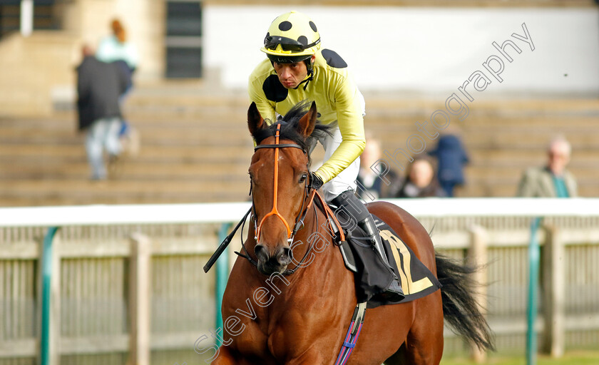 Specialisation-0002 
 SPECIALISATION (Sean Levey)
Newmarket 25 Oct 2023 - Pic Steven Cargill / Racingfotos.com