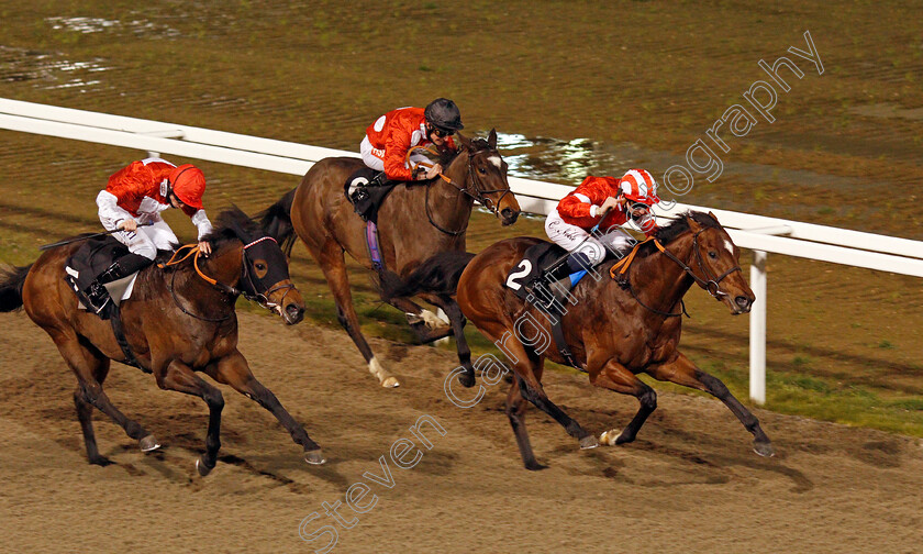 La-Tihaty-0009 
 LA TIHATY (Cameron Noble) beats ROGUE FORCE (left) in The Support The Injured Jockeys Fund Novice Stakes
Chelmsford 22 Jan 2021 - Pic Steven Cargill / Racingfotos.com