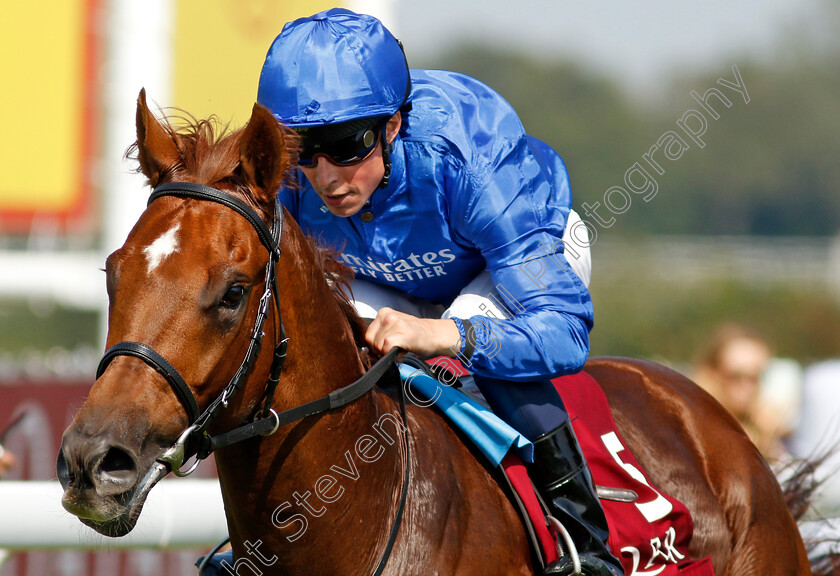 Notable-Speech-0003 
 NOTABLE SPEECH (William Buick) wins The Qatar Sussex Stakes
Goodwood 31 Jul 2024 - Pic Steven Cargill / Racingfotos.com