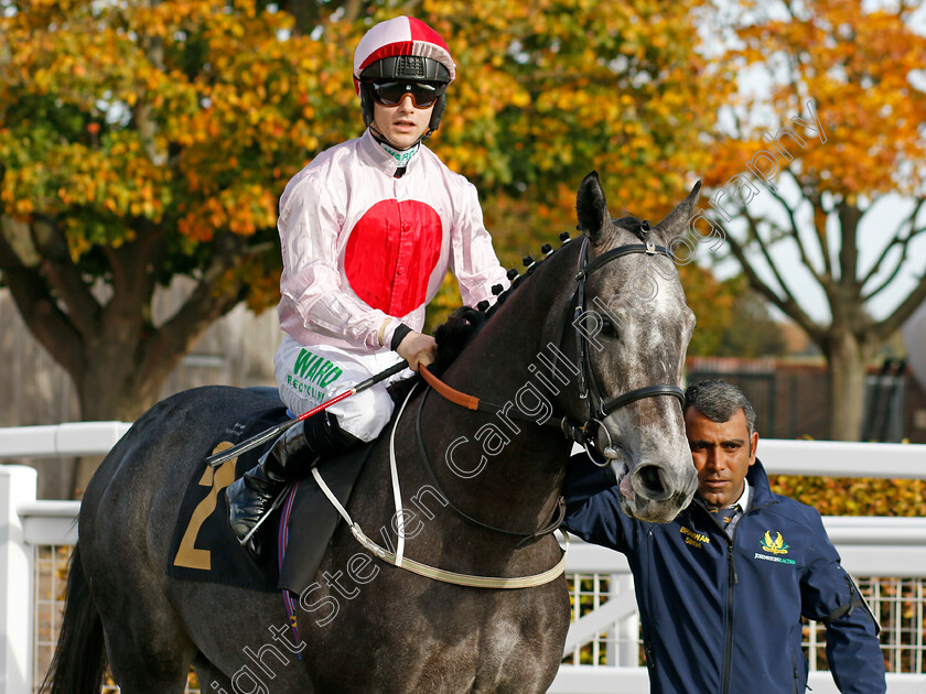 Get-Stuck-In-0001 
 GET STUCK IN (Jason Hart)
Newmarket 19 Oct 2022 - Pic Steven Cargill / Racingfotos.com