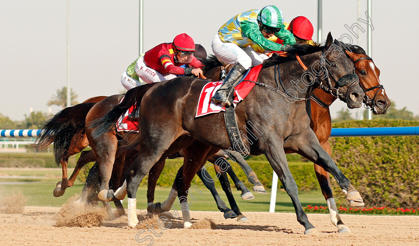 Wafy-0004 
 WAFY (Tadhg O'Shea) wins The Mahab Al Shimaal
Meydan 7 Mar 2020 - Pic Steven Cargill / Racingfotos.com