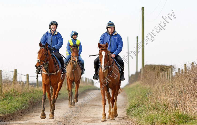 Native-River-0008 
 NATIVE RIVER (right) returning from exercise at Colin Tizzard's stables near Sherborne 21 Feb 2018 - Pic Steven Cargill / Racingfotos.com