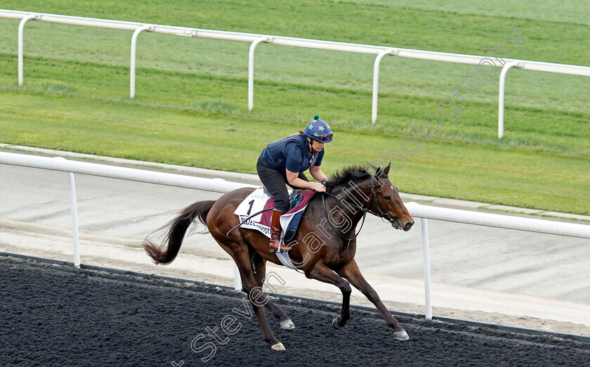 Subjectivist-0001 
 SUBJECTIVIST training for the Dubai Gold Cup
Meydan, Dubai, 21 Mar 2023 - Pic Steven Cargill / Racingfotos.com