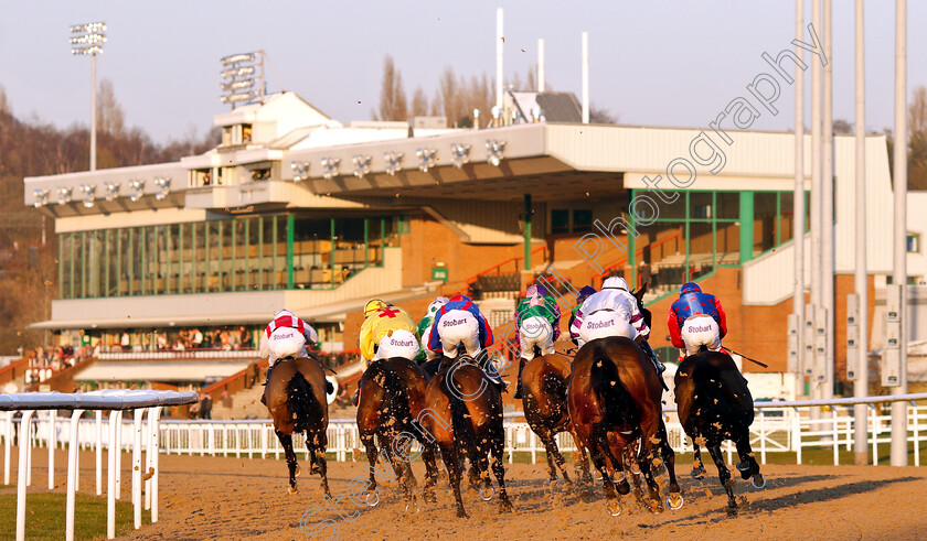 Wolverhampton-0002 
 Horses turn for home in the first race
Wolverhampton 26 Feb 2019 - Pic Steven Cargill / Racingfotos.com