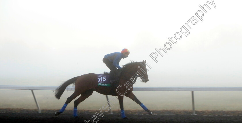 Mishriff-0004 
 MISHRIFF (Frankie Dettori) training for the Breeders' Cup Turf
Keeneland USA 3 Nov 2022 - Pic Steven Cargill / Racingfotos.com