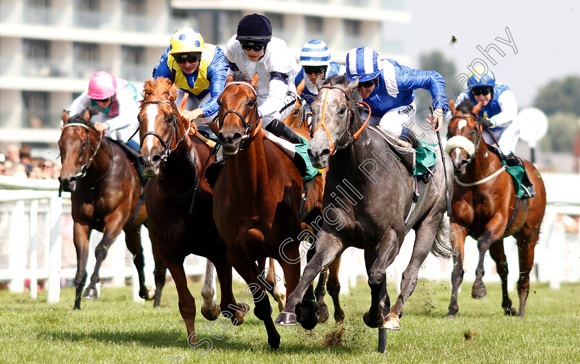 Yafta-0003 
 YAFTA (right, Jim Crowley) beats PROJECTION (centre) and DREAM OF DREAMS (left) in The bet365 Hackwood Stakes 
Newbury 21 Jul 2018 - Pic Steven Cargill / Racingfotos.com