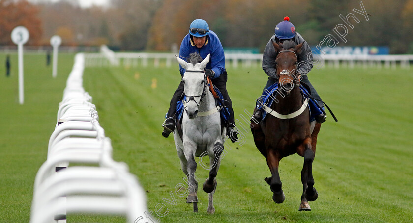 Eldorado-Allen-and-Rightsotom-0001 
 ELDORADO ALLEN (left) with RIGHTSOTOM (right) 
Coral Gold Cup Gallops Morning
Newbury 21 Nov 2023 - Pic Steven Cargill / Racingfotos.com