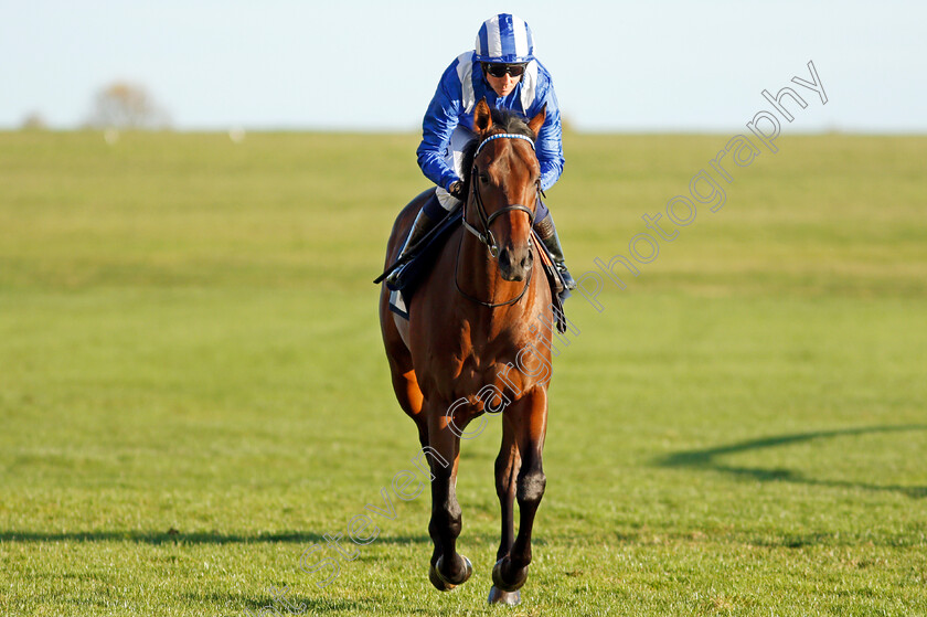 Nahri-0001 
 NAHRI (Jim Crowley)
Newmarket 20 Oct 2021 - Pic Steven Cargill / Racingfotos.com