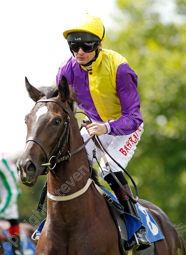 Musical-Mystery-0001 
 MUSICAL MYSTERY (Robert Havlin)
Salisbury 11 Aug 2021 - Pic Steven Cargill / Racingfotos.com