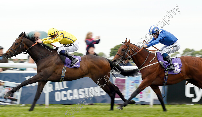 Kodiac-Pride-0005 
 KODIAC PRIDE (Tom Marquand) beats MAYDANNY (right) in The Skidby Novice Stakes
Beverley 29 May 2019 - Pic Steven Cargill / Racingfotos.com