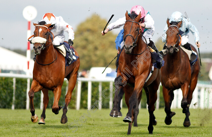 Sangarius-0006 
 SANGARIUS (Ryan Moore) beats DUBAI DOMINION (left) in The Weatherbys Global Stallions App Flying Scotsman Stakes
Doncaster 14 Sep 2018 - Pic Steven Cargill / Racingfotos.com