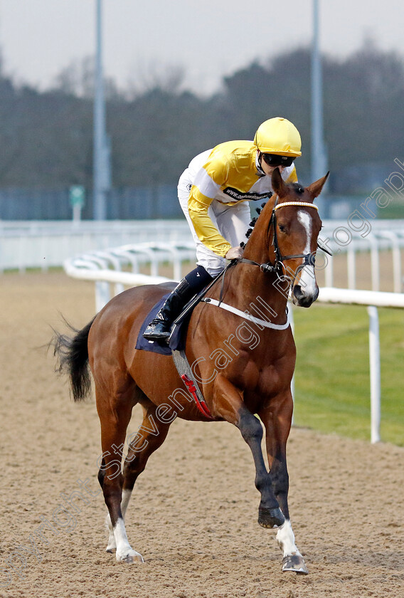 Quiet-Resolve-0001 
 QUIET RESOLVE (Oisin Orr)
Wolverhampton 9 Mar 2024 - Pic Steven Cargill / Racingfotos.com