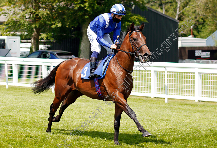 Gidwa-0001 
 GIDWA (Jim Crowley)
Salisbury 8 Jun 2021 - Pic Steven Cargill / Racingfotos.com