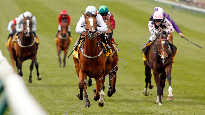 Cemhaan-0004 
 CEMHAAN (Hollie Doyle) wins The Betfair Daily Rewards Handicap
Newmarket 1 May 2022 - Pic Steven Cargill / Racingfotos.com