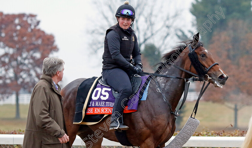 Mise-En-Scene-0002 
 MISE EN SCENE training for the Breeders' Cup Filly & Mare Turf
Keeneland USA 2 Nov 2022 - Pic Steven Cargill / Racingfotos.com