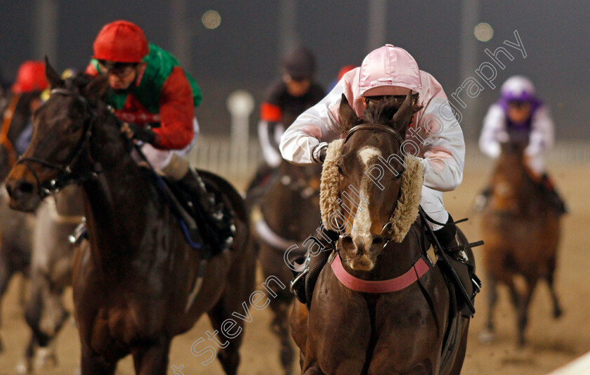 Freedom-And-Wheat-0004 
 FREEDOM AND WHEAT (Marco Ghiani) wins The tote.co.uk Free Streaming Every Uk Race Handicap
Chelmsford 27 Nov 2020 - Pic Steven Cargill / Racingfotos.com