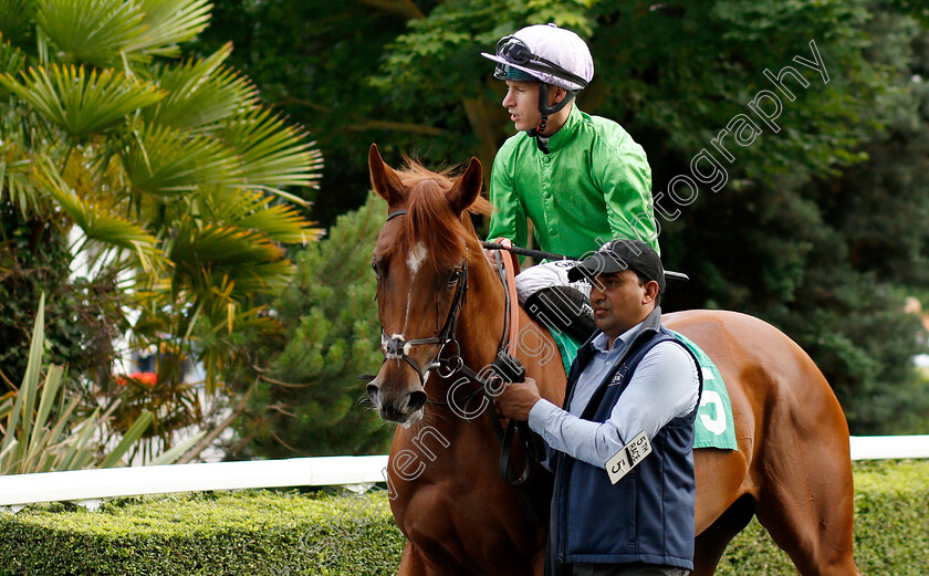 Clegane-0001 
 CLEGANE (Richard Kingscote)
Kempton 10 Jul 2019 - pic Steven Cargill / Racingfotos.com