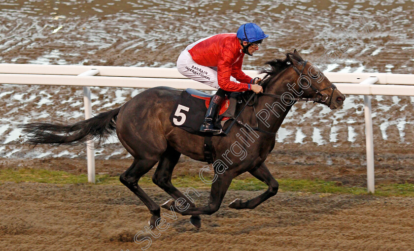 Fundamental-0008 
 FUNDAMENTAL (Robert Havlin) wins The racingwelfare.co.uk EBF Novice Stakes
Chelmsford 15 Oct 2020 - Pic Steven Cargill / Racingfotos.com