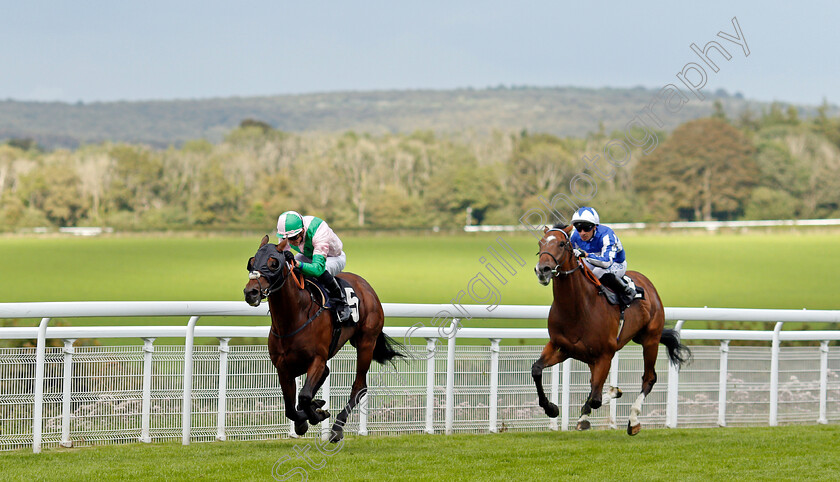 General-Lee-0001 
 GENERAL LEE (James Doyle) wins The tote.co.uk Handicap
Goodwood 28 Aug 2021 - Pic Steven Cargill / Racingfotos.com