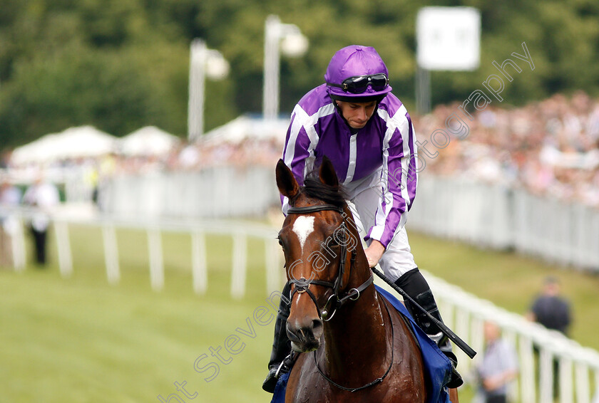 Magical-0001 
 MAGICAL (Ryan Moore)
Sandown 6 Jul 2019 - Pic Steven Cargill / Racingfotos.com