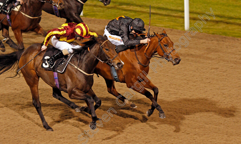 Magic-Pulse-0004 
 MAGIC PULSE (right, Dougie Costello) beats AVON GREEN (left) in The totescoop6 Play For £2 This Saturday Nursery Chelmsford 16 Nov 2017 - Pic Steven Cargill / Racingfotos.com