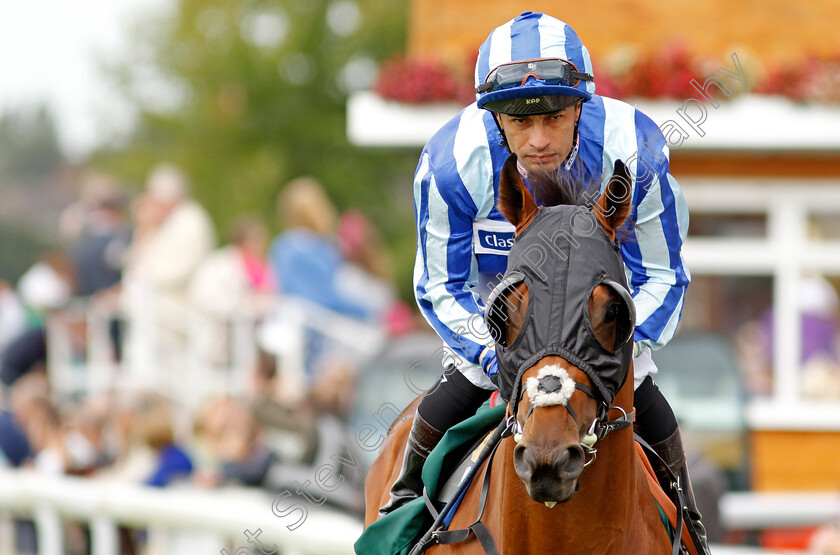 Rock-Hunter-0001 
 ROCK HUNTER (Silvestre de Sousa)
York 22 Aug 2024 - pic Steven Cargill / Racingfotos.com