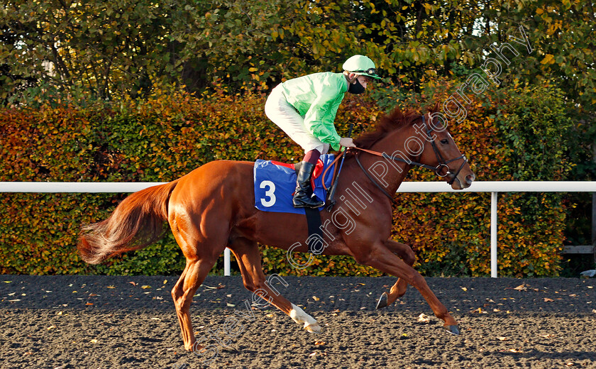 River-Dawn-0001 
 RIVER DAWN (Rob Hornby) winner of The Unibet Extra Place Offers Every Day Handicap Div1
Kempton 2 Nov 2020 - Pic Steven Cargill / Racingfotos.com