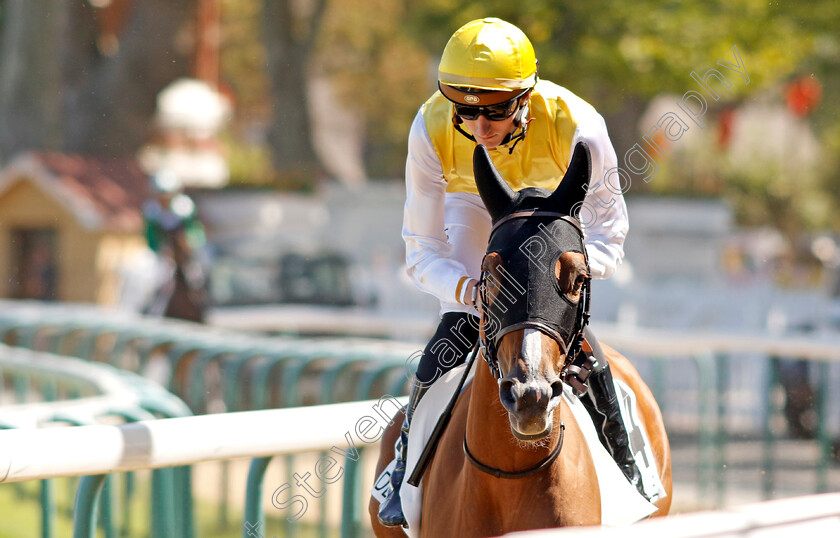 Australiana-0001 
 AUSTRALIANA (S Planque)
Deauville 6 Aug 2022 - Pic Steven Cargill / Racingfotos.com