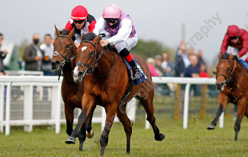 Tolstoy-0003 
 TOLSTOY (Martin Harley) wins The British Stallion Studs EBF Novice Stakes
Yarmouth 19 May 2021 - Pic Steven Cargill / Racingfotos.com