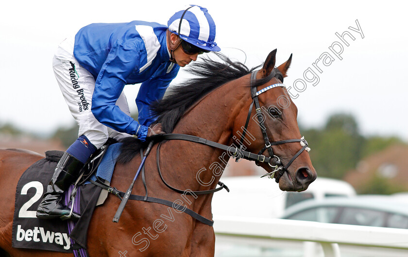 Eshaasy-0004 
 ESHAASY (Jim Crowley)
Sandown 31 Aug 2019 - Pic Steven Cargill / Racingfotos.com